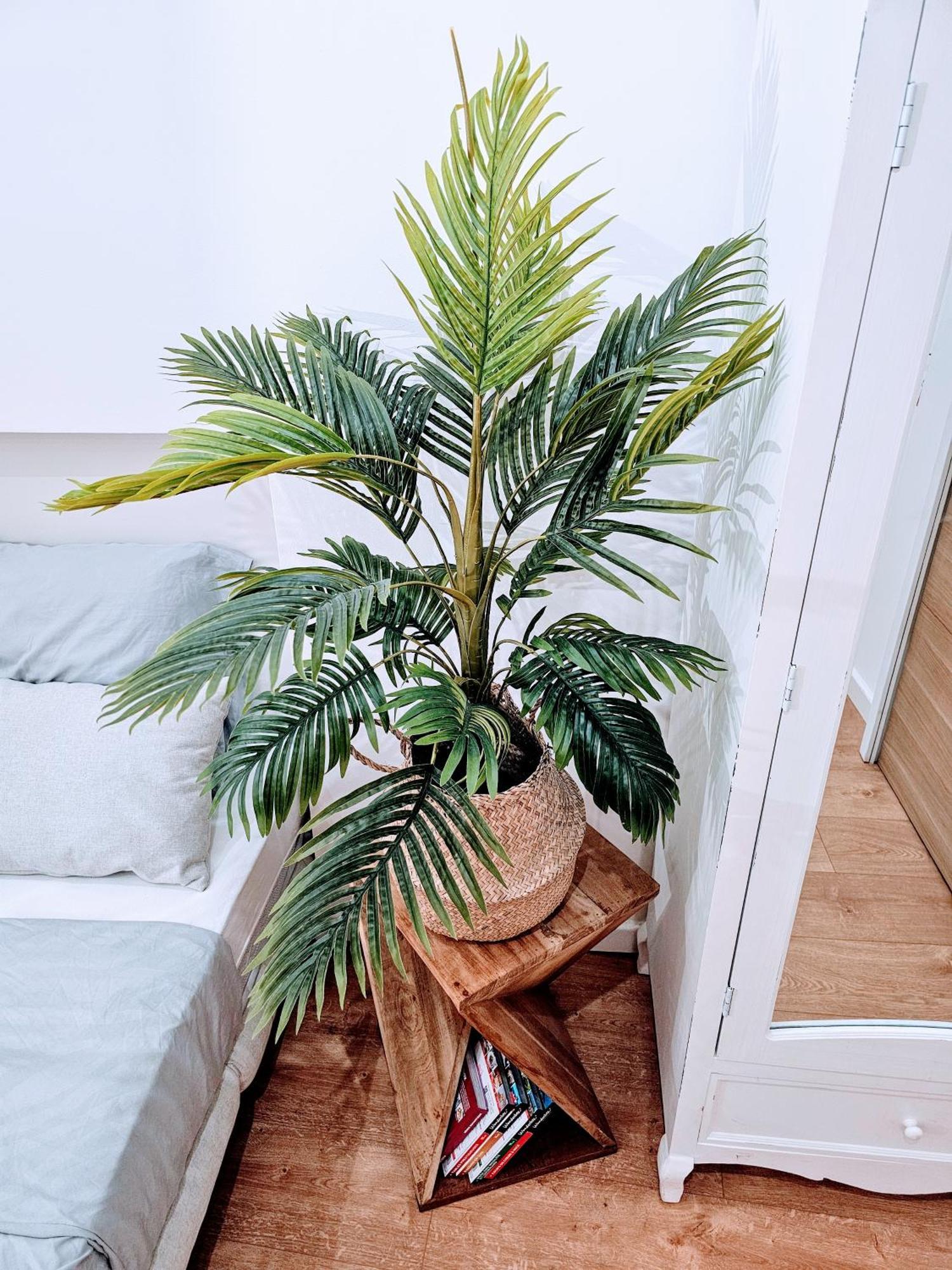 Studio Aux Pieds Des Parfumeries Grasse Extérieur photo